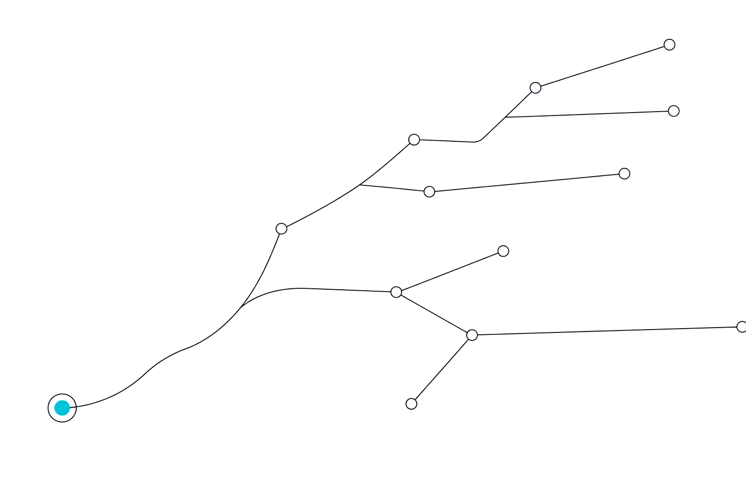 Line drawing of a network growing from a single cyan origin node